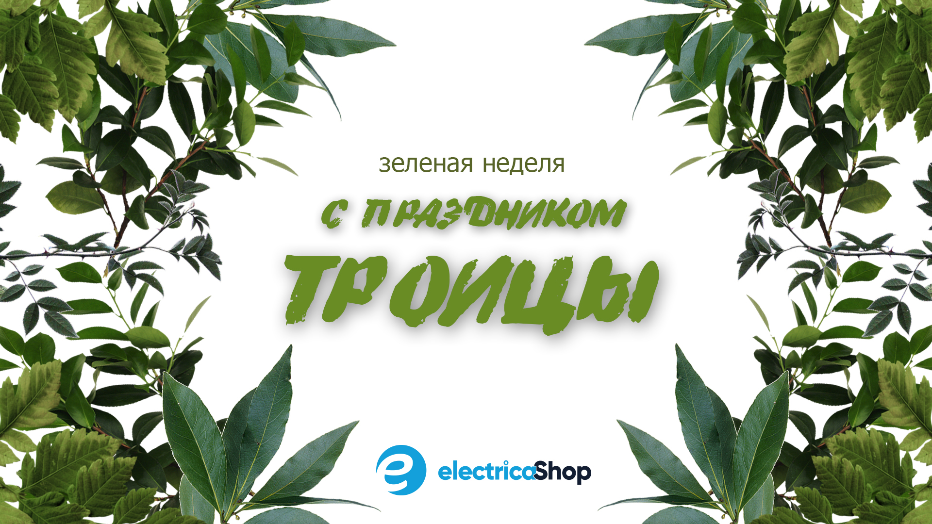 Зеленая неделя и праздник троицы в Электрика шоп