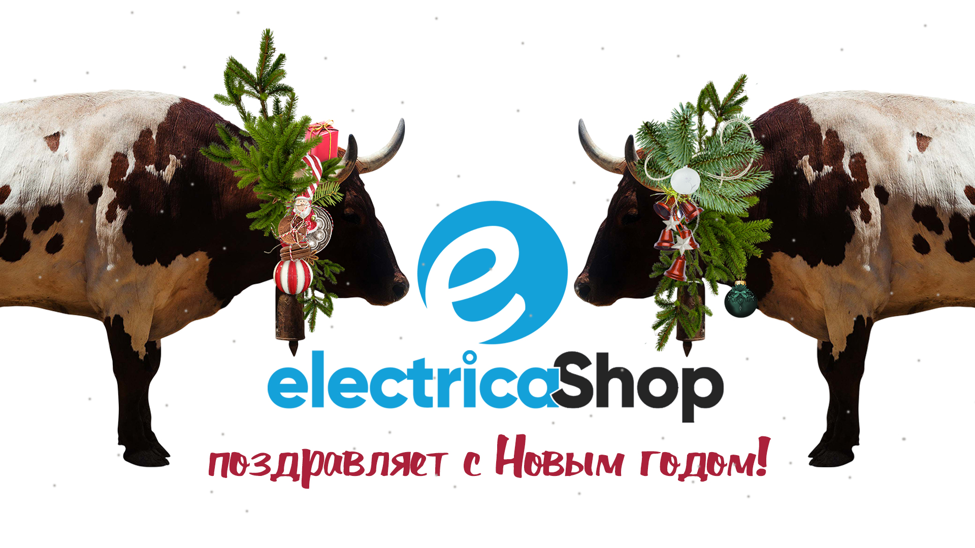 Новый Год 2021! Электрика Шоп