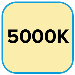 5000K