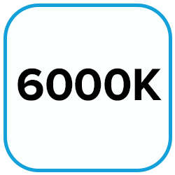 6000K