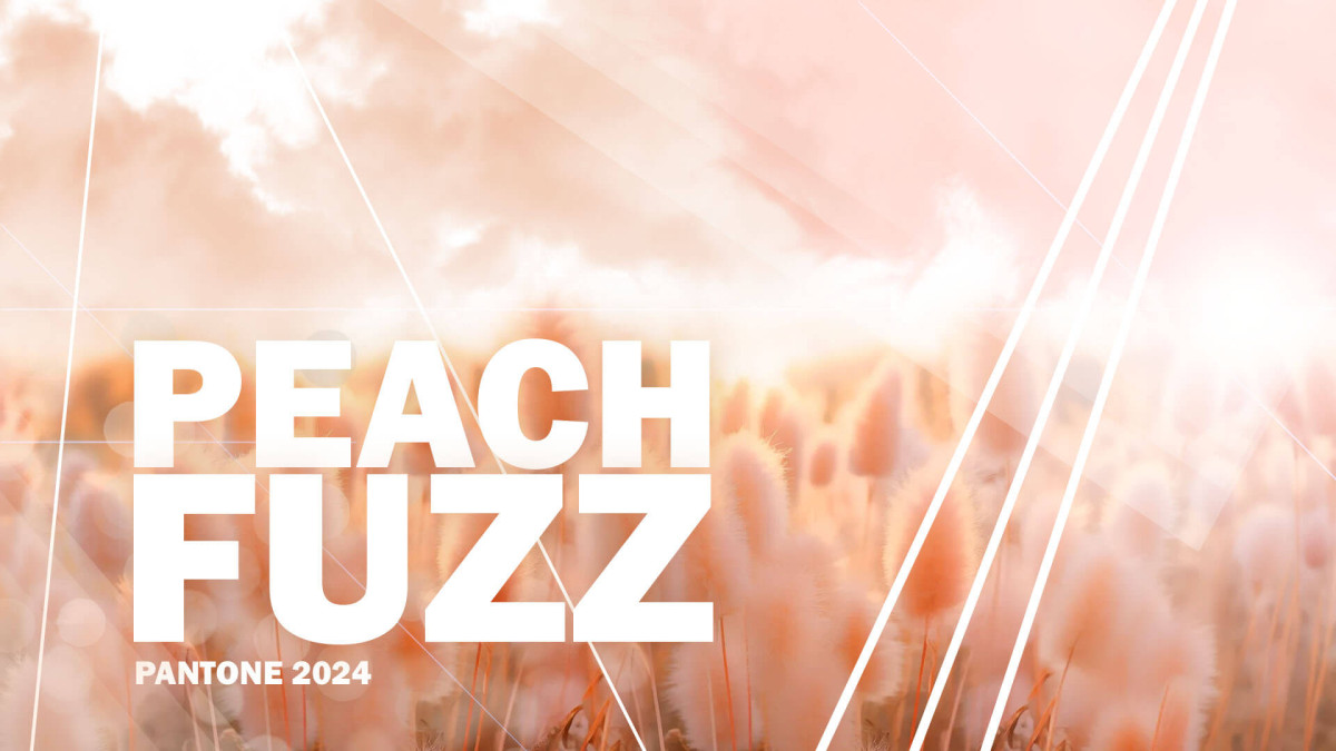Peach Fuzz 2024