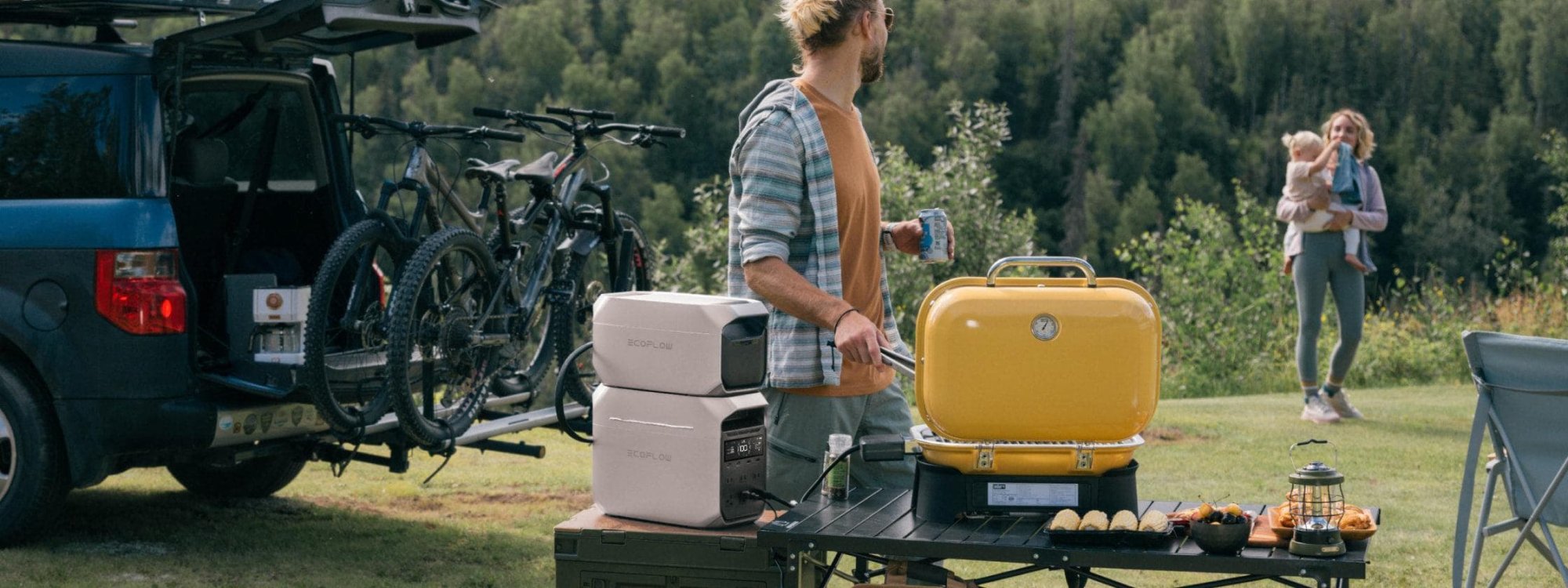 EcoFlow DELTA-3 Extra Battery цена отзывы