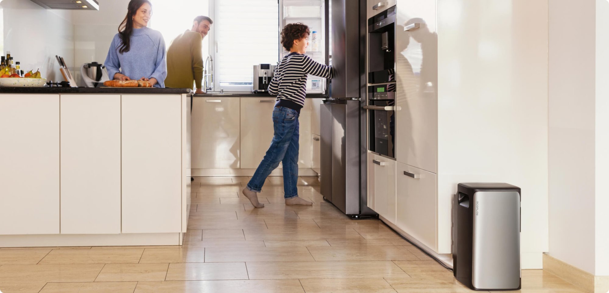 Зарядна станція DELTA Lite STREAM PRO офіційно купити EFSTREAMPRO800W-EU