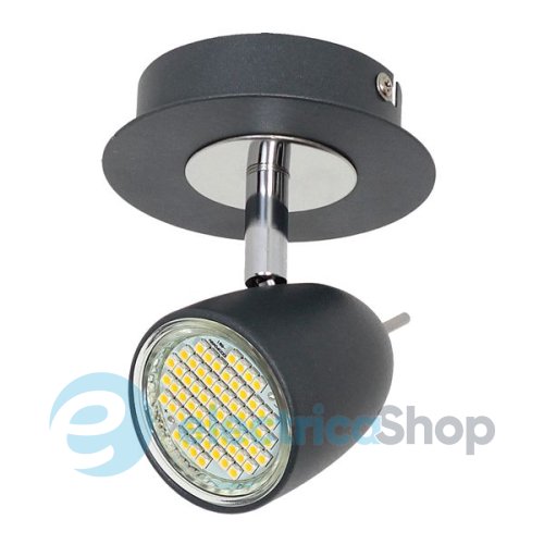 Спот 6495 Luminex Taylor