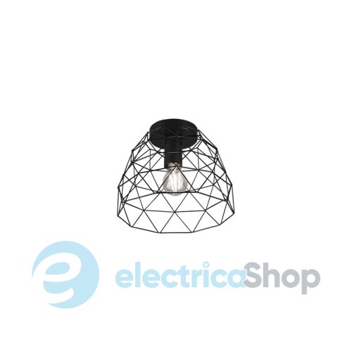 Стельовий світильник TRIO HAVAL R60711032