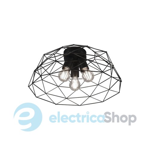 Стельовий світильник TRIO HAVAL R60713032