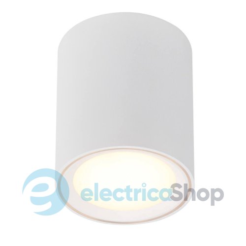 Точковий накладний світильник Nordlux FALLON 47550101