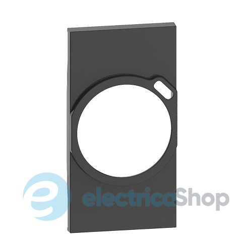 Лицевая панель для комбинированных розеток 2К+З/USB (2-мод.) Bticino LIVING NOW, цвет черный