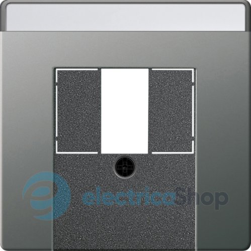 Накладка для TAE+USB з полем для надпису System 55 Gira 0876600, сталь