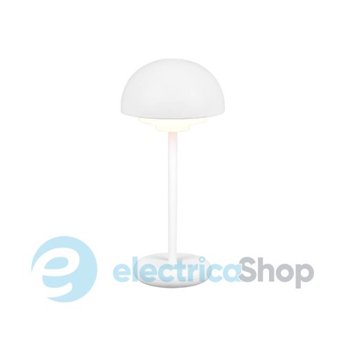 Настольная лампа TRIO ELLIOT R52306131