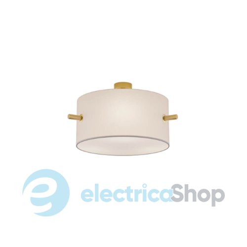 Стельовий світильник TRIO CAMDEN 608300308
