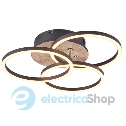 Стельовий світильник TRIO R62823135 CIRCLE