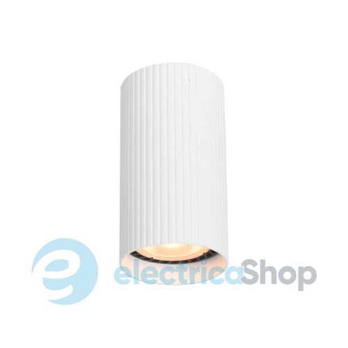 Точечный светильник Italux Rilok CLN-83920-S-WH