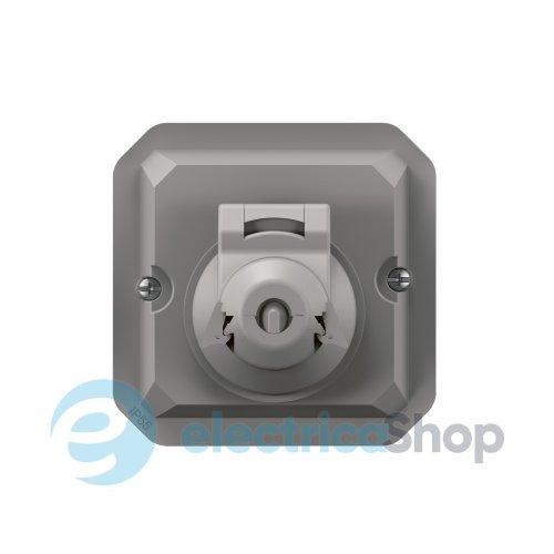 Адаптер для розетки RJ-45 IP55 мех-м. Legrand Plexo New 069581L цвет серый