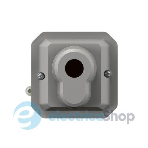 Выключатель с ключом 10А/250В 3-позиц. с еврозамком мех-м. Legrand Plexo New 069705L цвет серый