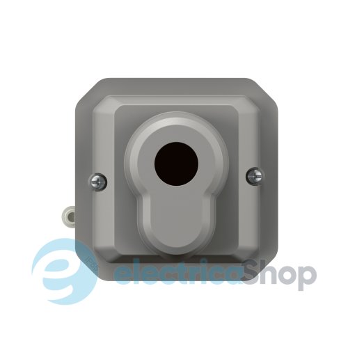 Выключатель с ключом 10А/250В 2-позиц. с еврозамком мех-м. Legrand Plexo New 069706L серый цвет