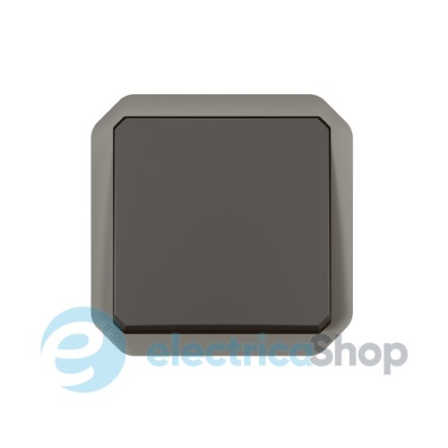 Вимикач 1-кл. 2-пол. 10А/250В мех-м. Legrand Plexo New 069827L колір антрацит