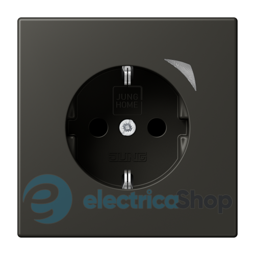 Умная розетка с з/к SCHUKO JUNG HOME Energy BTLC1521SE259