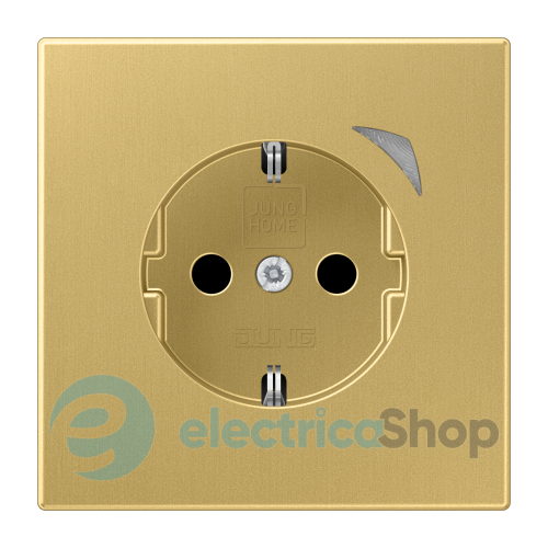 Розетка із з/к 250V/16A, шторки, JUNG HOME Energy BTME1521SEC-L латунь Classic