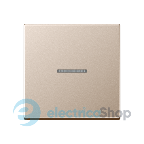 Клавіша JUNG HOME, 1 група, BTA17101CH шампань