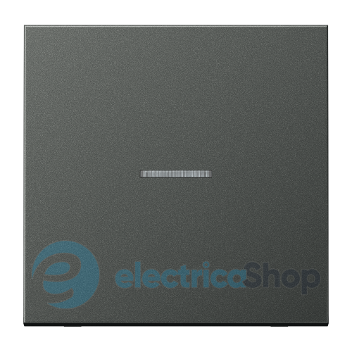 Клавіша JUNG HOME, 1 група, BTAL17101AN антрацит