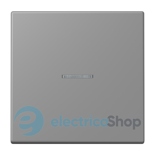 Клавіша JUNG HOME, 1 група, BTLC17101203 gris 31 (32011)