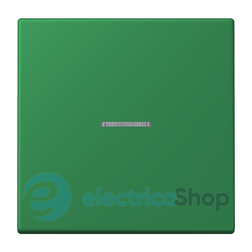 Клавиша JUNG HOME, 1 группа, BTLC17101219 vert foncé (32050)