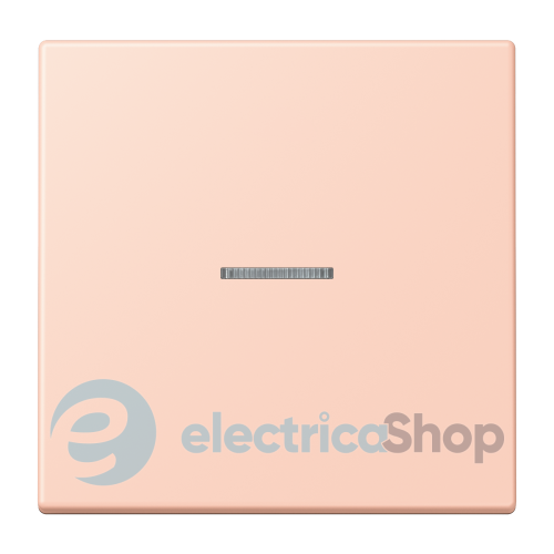 Клавіша JUNG HOME, 1 група, BTLC17101234 l’ocre rouge clair (32112)