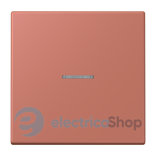 Клавиша JUNG HOME, 1 группа, BTLC17101236 terre sienne brique (32121)