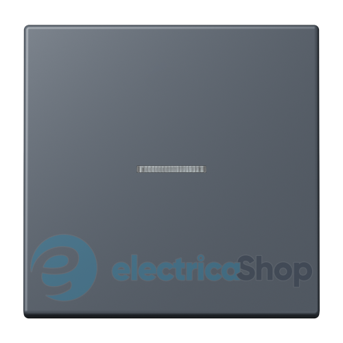 Клавиша JUNG HOME, 1 группа, BTLC17101262 gris foncé (4320U)