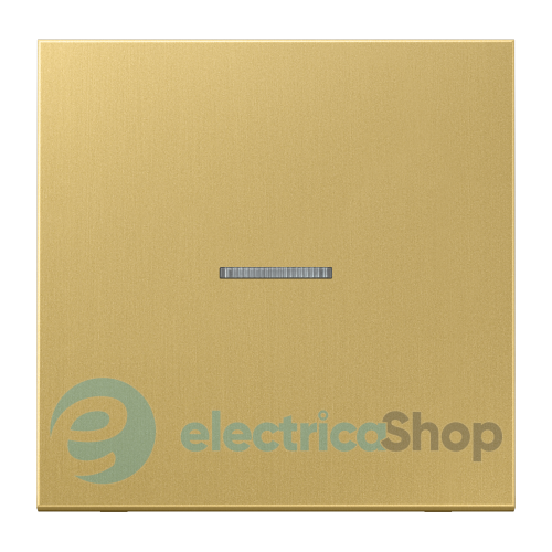 Клавіша JUNG HOME, 1 група, BTME17101C латунь Classic