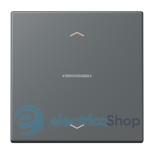 Клавиша с симовлом «стрелки» JUNG HOME, 1 группа, BTLC17101P202 gris foncé 31 (32010)