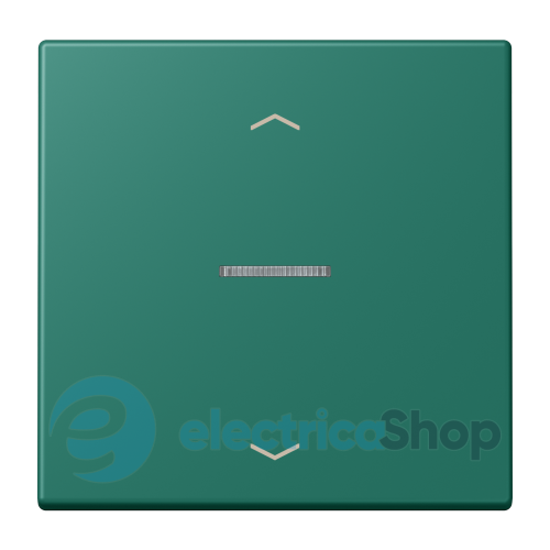 Клавиша с симовлом «стрелки» JUNG HOME, 1 группа, BTLC17101P216 vert anglais (32040)