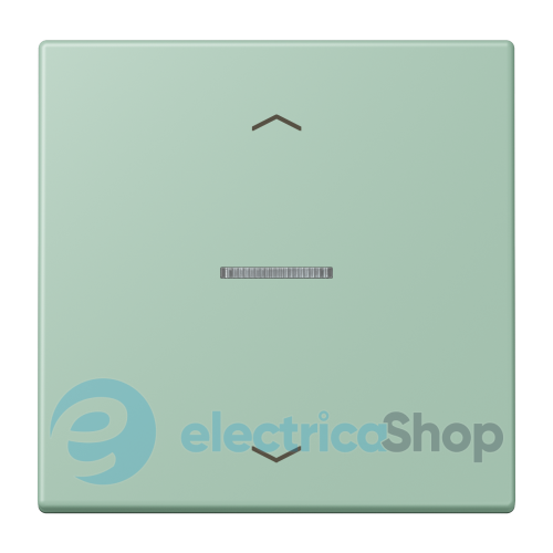 Клавиша с симовлом «стрелки» JUNG HOME, 1 группа, BTLC17101P217 vert anglais clair (32041)