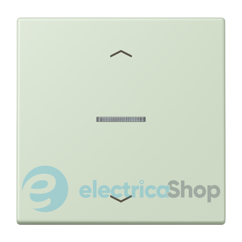 Клавиша с симовлом «стрелки» JUNG HOME, 1 группа, BTLC17101P218 vert anglais pâle (32042)