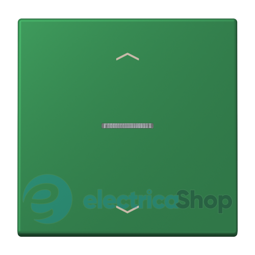Клавиша с симовлом «стрелки» JUNG HOME, 1 группа, BTLC17101P219 vert foncé (32050)