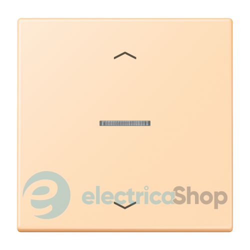 Клавиша с симовлом «стрелки» JUNG HOME, 1 группа, BTLC17101P223 ocre (32060)