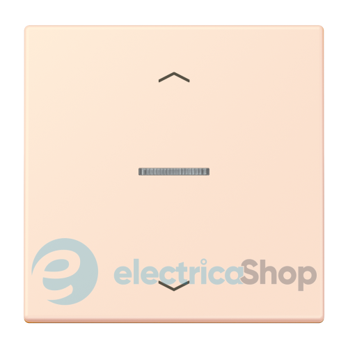 Клавиша с симовлом «стрелки» JUNG HOME, 1 группа, BTLC17101P226 orange pâle (32082)