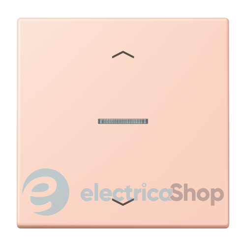 Клавиша с симовлом «стрелки» JUNG HOME, 1 группа, BTLC17101P234 l’ocre rouge clair (32112)