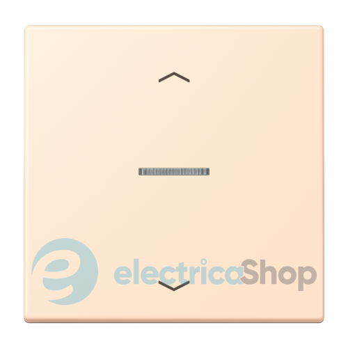 Клавиша с симовлом «стрелки» JUNG HOME, 1 группа, BTLC17101P238 terre sienne pâle (32123)