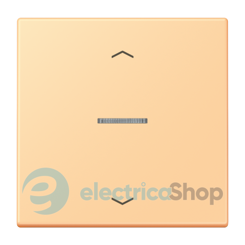 Клавиша с симовлом «стрелки» JUNG HOME, 1 группа, BTLC17101P258 terre sienne claire 59 (4320P)