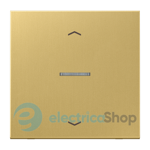 Клавіша із символом «стрілки» JUNG HOME, 1 група, BTME17101PC латунь Classic