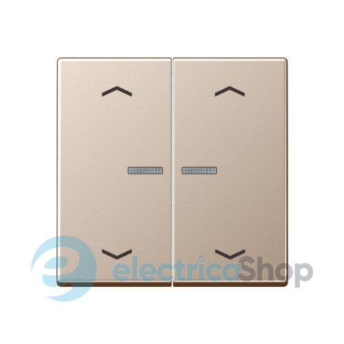 Клавиша с симовлом «стрелки» JUNG HOME, 2 группы, BTA17102PCH шампань