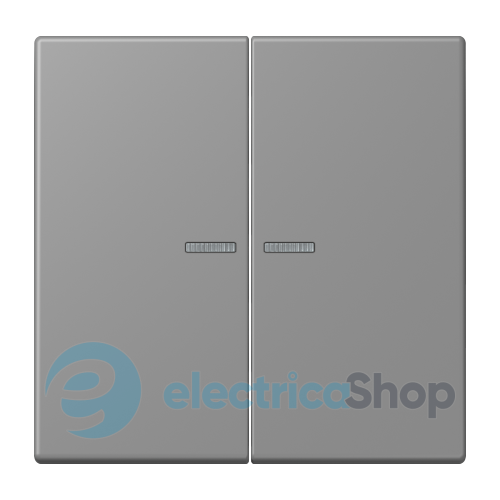 Клавиша JUNG HOME, 2 группы, BTLC17102203 gris 31 (32011)