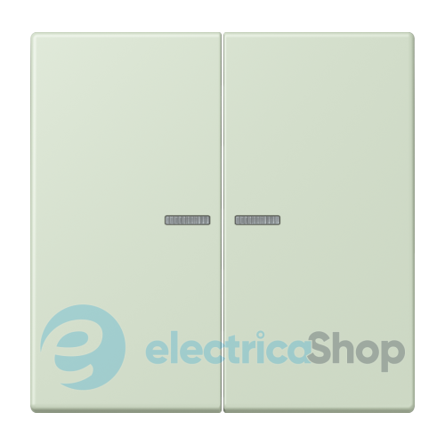 Клавиша JUNG HOME, 2 группы, BTLC17102218 vert anglais pâle (32042)