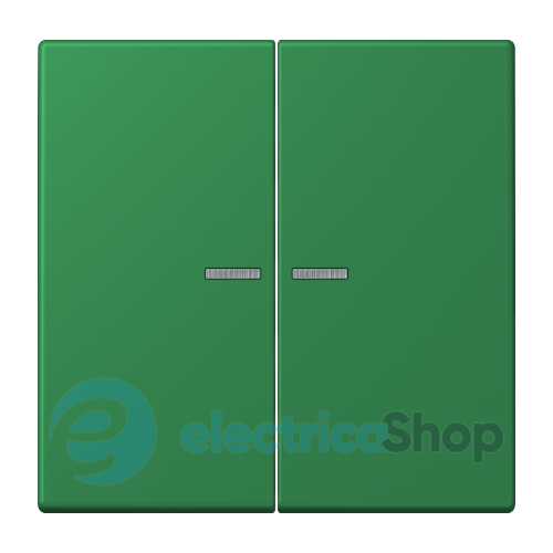 Клавиша JUNG HOME, 2 группы, BTLC17102219 vert foncé (32050)