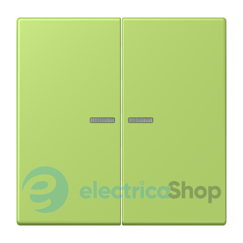 Клавиша JUNG HOME, 2 группы, BTLC17102221 vert clair (32052)