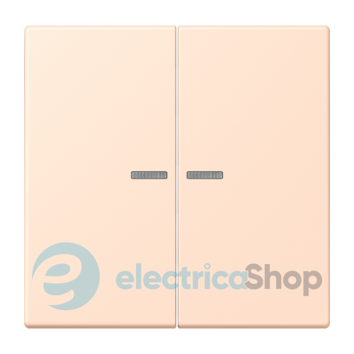 Клавиша JUNG HOME, 2 группы, BTLC17102228 rose pâle (32091)