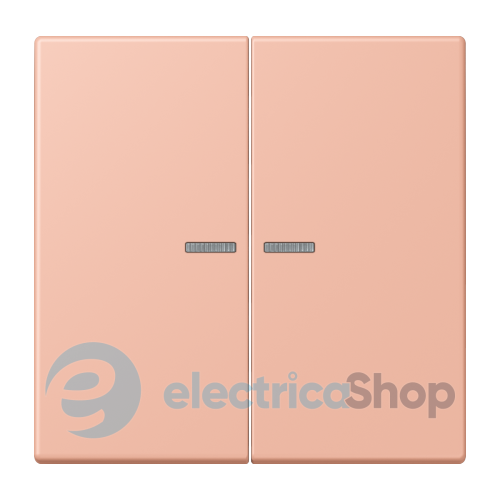 Клавиша JUNG HOME, 2 группы, BTLC17102231 rose clair (32102)