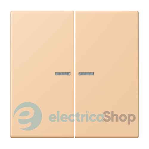 Клавиша JUNG HOME, 2 группы, BTLC17102237 terre sienne claire 31 (32122)